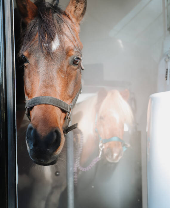 Sandra_Angelbeck_osteopathie_sole_05-web